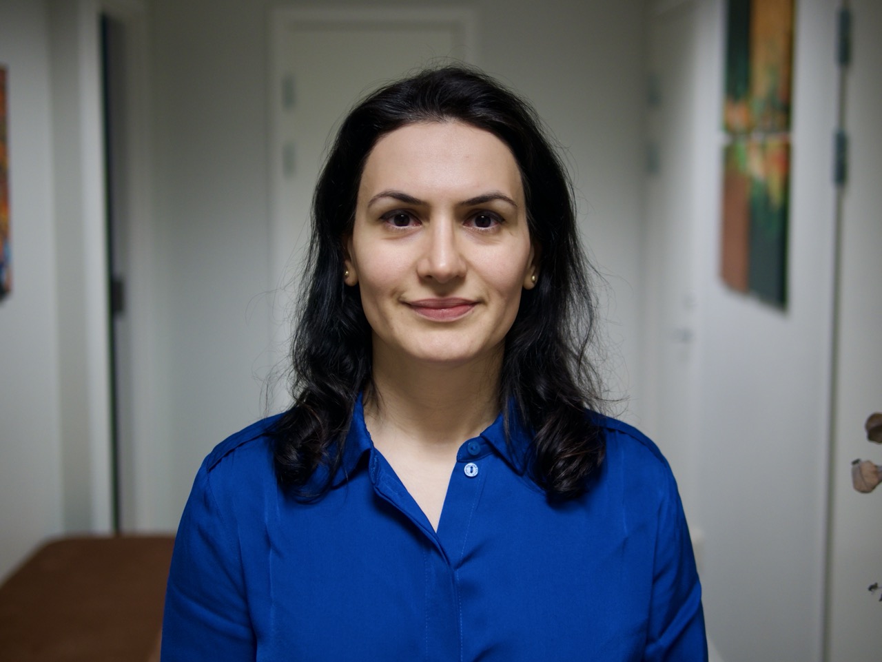 Hengameh Khodadadi